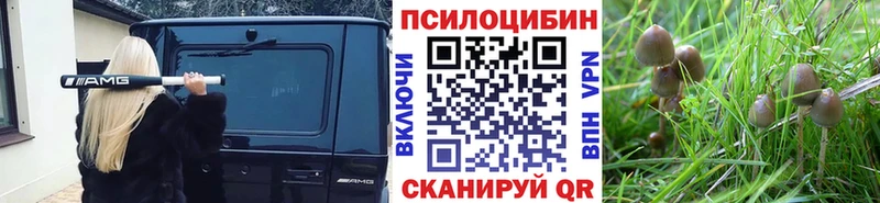 Псилоцибиновые грибы мицелий  продажа наркотиков  Скопин 